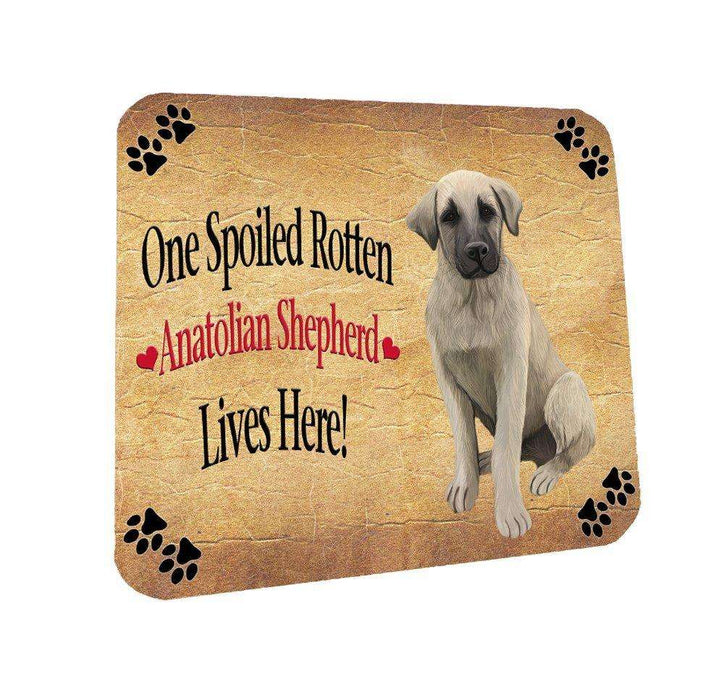 Anatolian Shepherd Puppy Spoiled Rotten Dog Coasters Set of 4