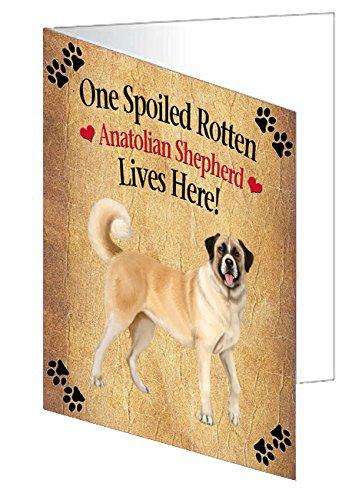 Anatolian Shepherd Spoiled Rotten Dog Handmade Artwork Assorted Pets Greeting Cards and Note Cards with Envelopes for All Occasions and Holiday Seasons