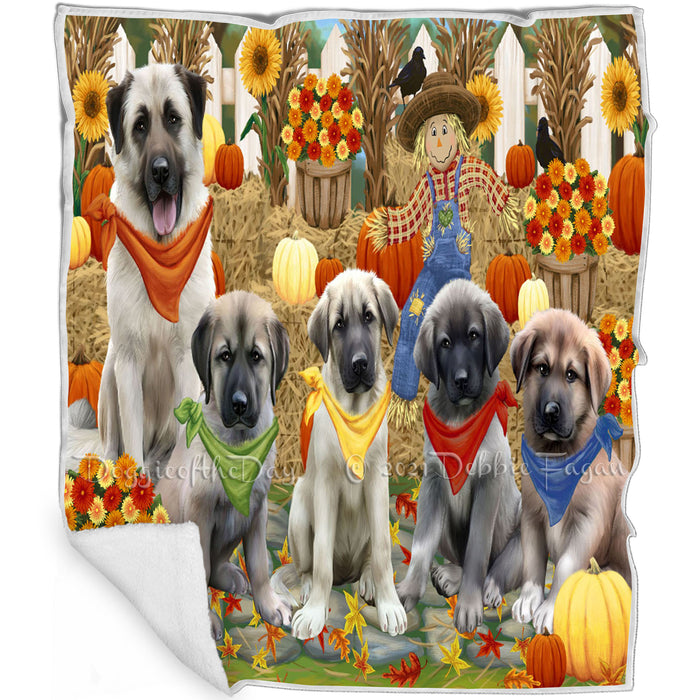 Fall Festive Gathering Anatolian Shepherds Dog with Pumpkins Blanket BLNKT71634