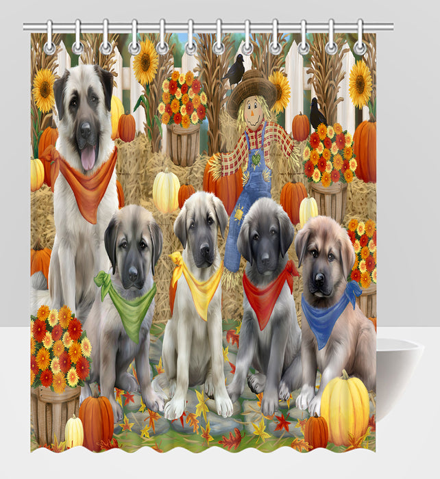 Fall Festive Harvest Time Gathering Anatolian Shepherd Dogs Shower Curtain