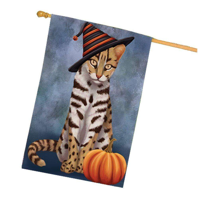 Asian Leopard Cat Wearing Witch Hat with Pumpkin House Flag