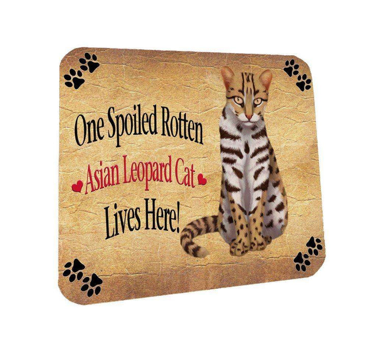 Asian Leopard Spoiled Rotten Cat Coasters Set of 4
