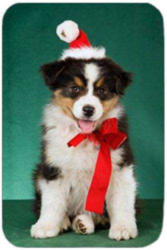 Aussie Australian Shepherd Puppy Dog with Christmas Hat Holiday Cutting Board