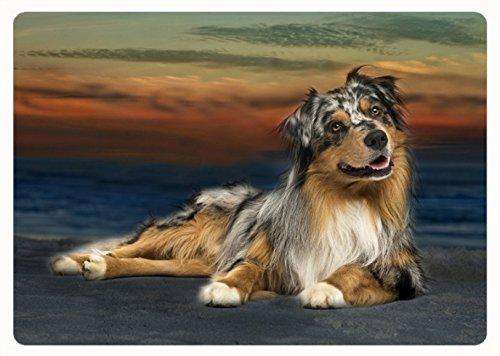 Australian Shepherd Blue Merle Dog Cutting Board