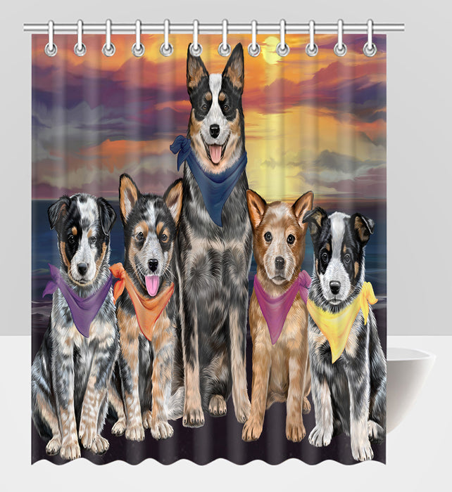 Family Sunset Portrait Australian Cattle Dogs Shower Curtain