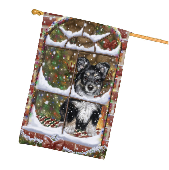 Please come Home for Christmas Australian Shepherd Dog House Flag Outdoor Decorative Double Sided Pet Portrait Weather Resistant Premium Quality Animal Printed Home Decorative Flags 100% Polyester FLG67973