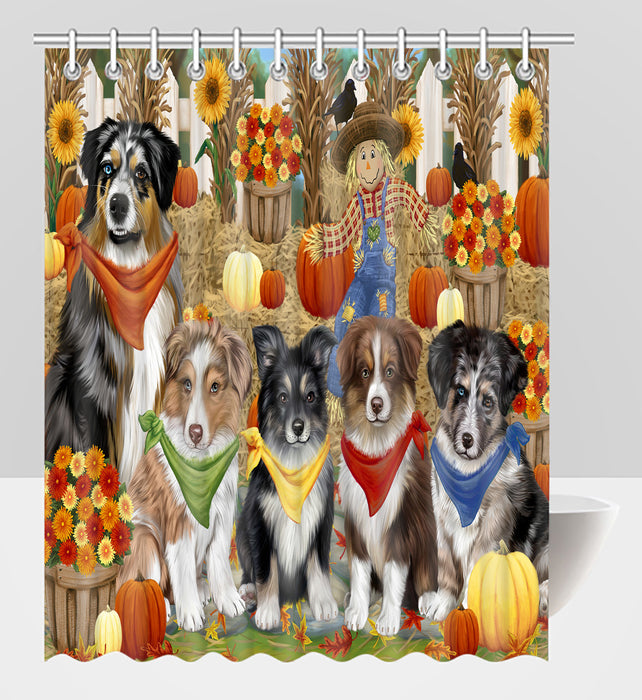 Fall Festive Harvest Time Gathering Australian Shepherd Dogs Shower Curtain