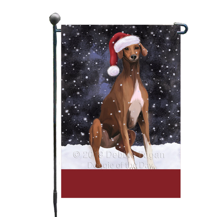 Personalized Let It Snow Happy Holidays Azawakh Dog Custom Garden Flags GFLG-DOTD-A62244