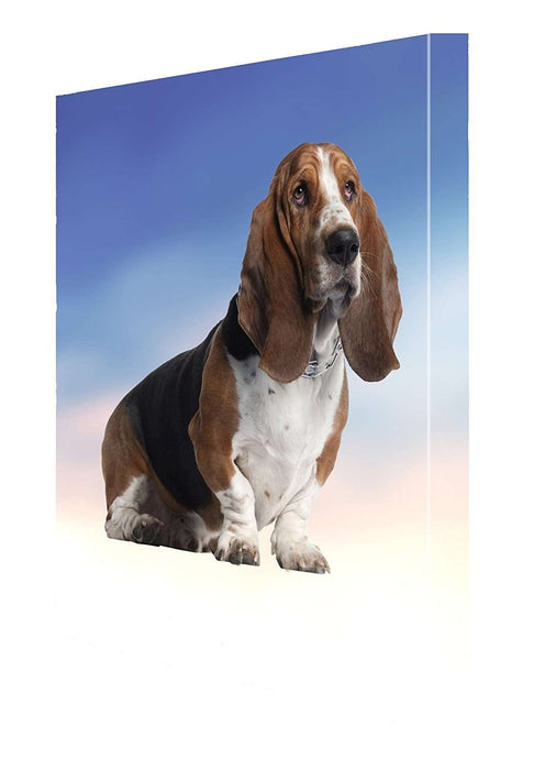 Basset Hound Dog Canvas