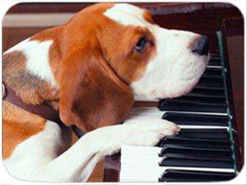 Beagle Playing Piano Tempered Large Cutting Board