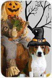 Beagle Tempered Cutting Board Halloween