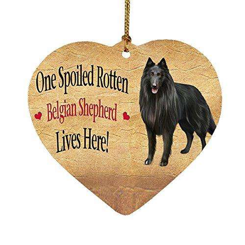 Belgian Shepherd Spoiled Rotten Dog Heart Christmas Ornament