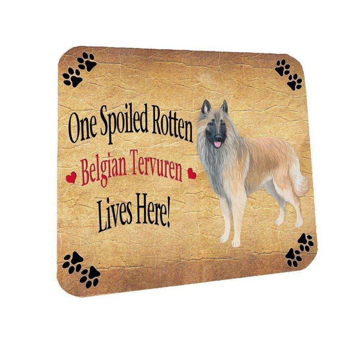Belgian Tervuren Spoiled Rotten Dog Coasters Set of 4