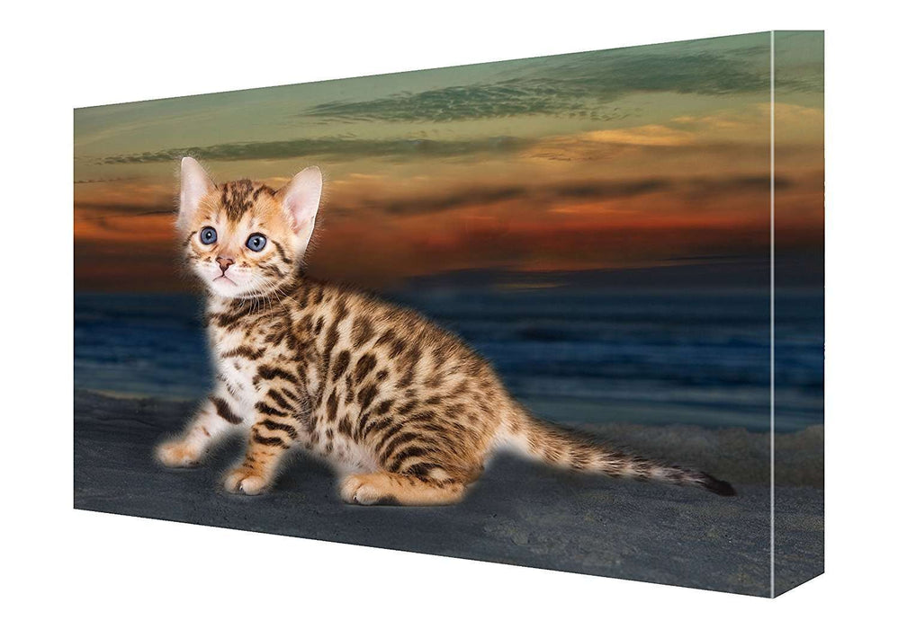 Bengal Kitten Canvas 18 X 24