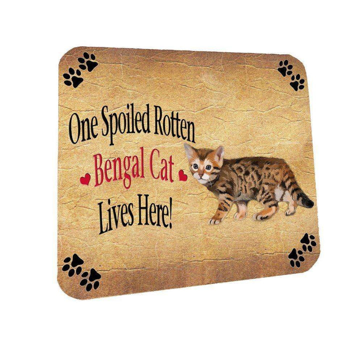 Bengal Kitten Spoiled Rotten Cat Coasters Set of 4