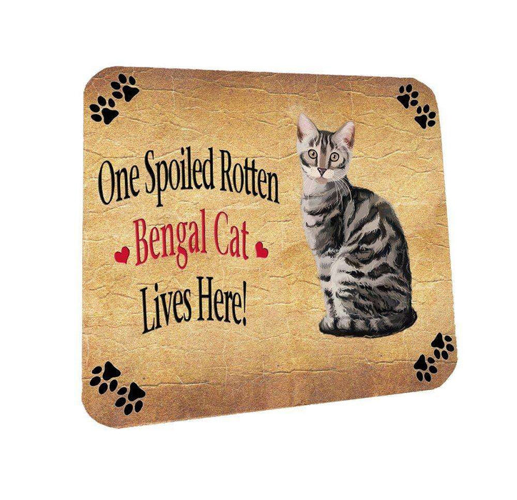 Bengal Silver Spoiled Rotten Cat Coasters Set of 4