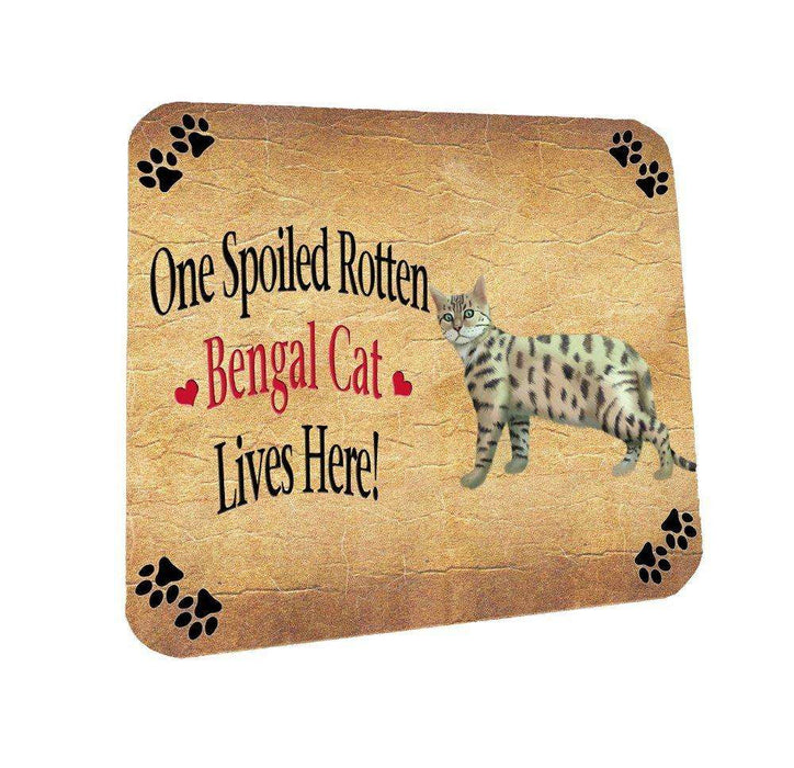 Bengal Spoiled Rotten Cat Coasters Set of 4