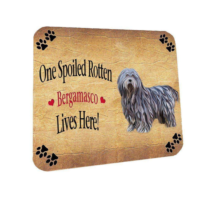 Bergamasco Pastori Spoiled Rotten Dog Coasters Set of 4