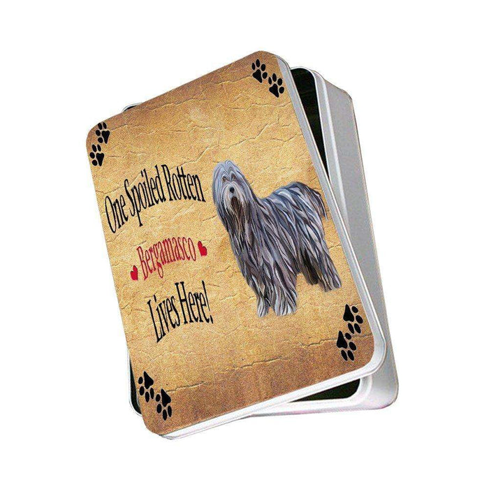 Bergamasco Pastori Spoiled Rotten Dog Photo Storage Tin