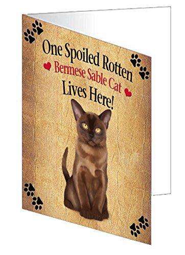 Bermese Sable Spoiled Rotten Cat Handmade Artwork Assorted Pets Greeting Cards and Note Cards with Envelopes for All Occasions and Holiday Seasons