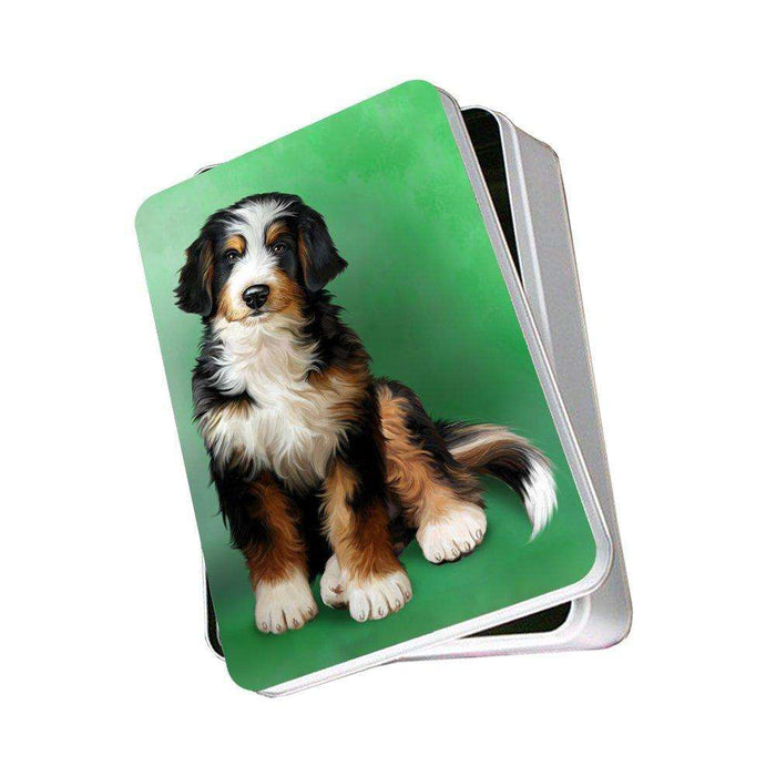 Bernedoodle Dog Photo Storage Tin