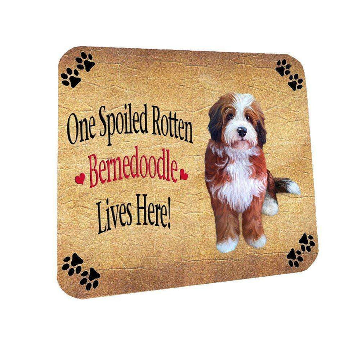 Bernedoodle Spoiled Rotten Dog Coasters Set of 4