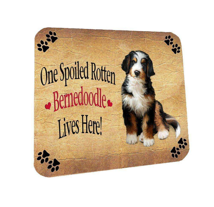 Bernedoodle Spoiled Rotten Dog Coasters Set of 4