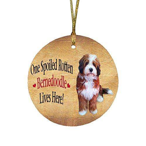 Bernedoodle Spoiled Rotten Dog Round Christmas Ornament