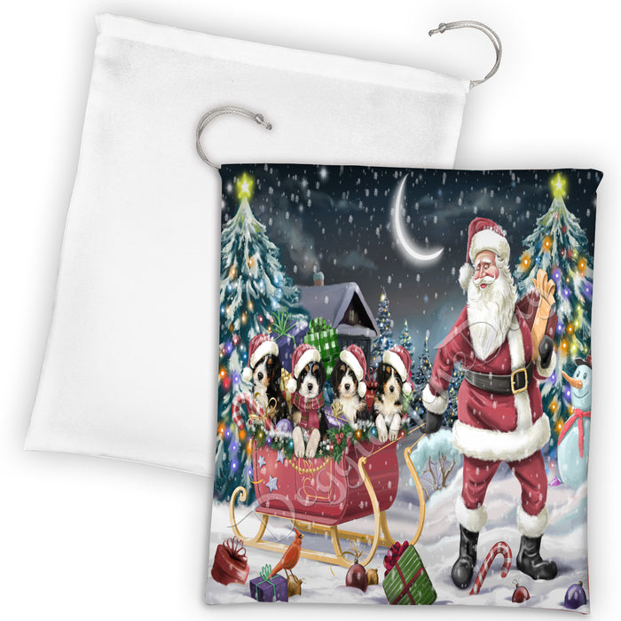 Santa Sled Dogs Christmas Happy Holidays Bernedoodle Dogs Drawstring Laundry or Gift Bag LGB48671
