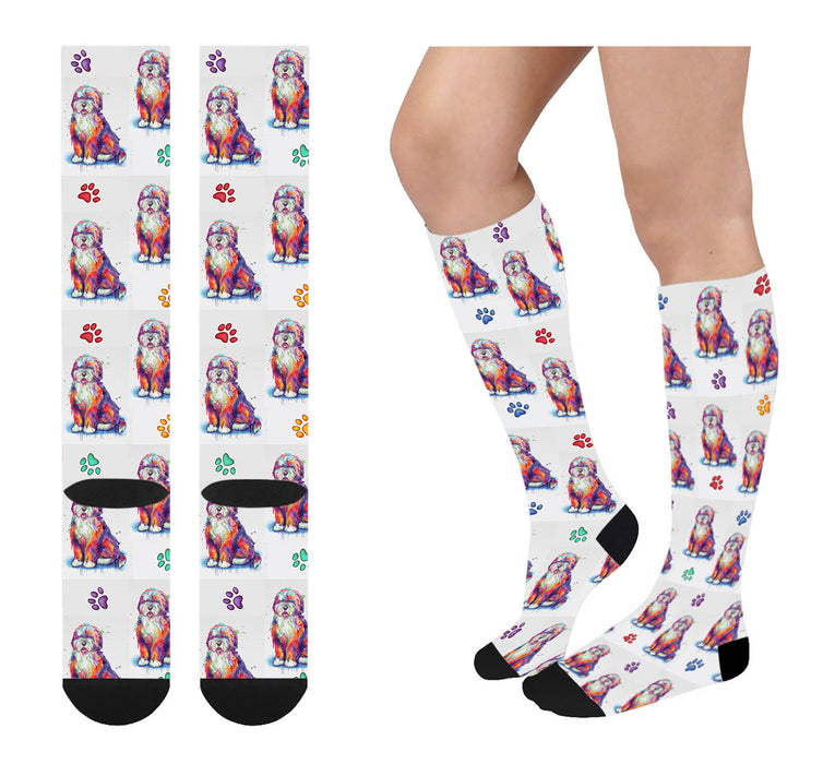 Watercolor Bernedoodle Dogs Women's Over the Calf Socks