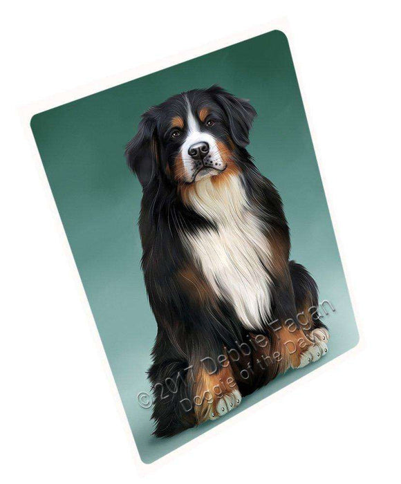 Bernese Mountain Dog Blanket BLNKT50655
