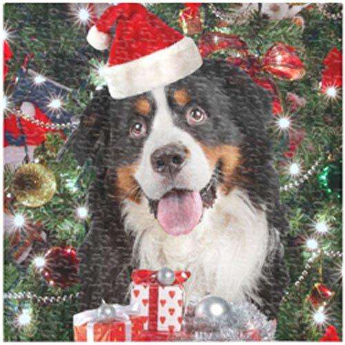 Bernese Mountain Dog Christmas Holiday 300 Pc. Puzzle with Photo Tin