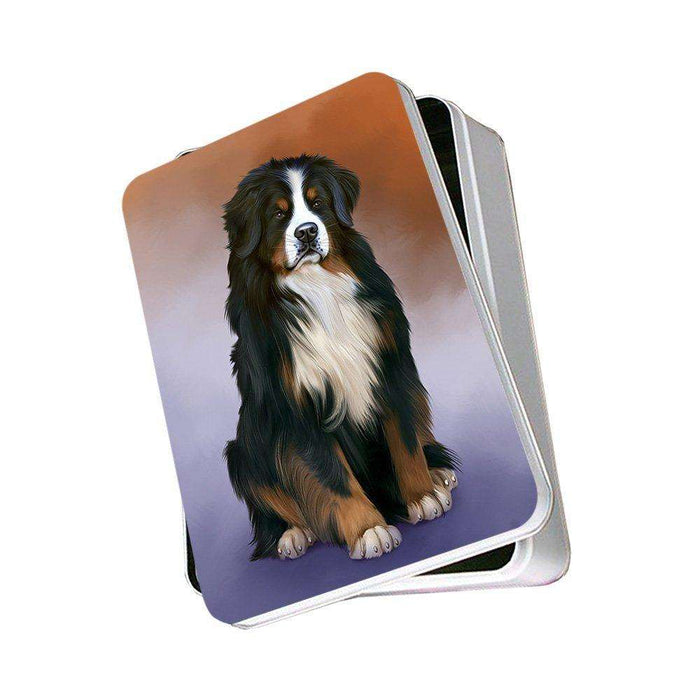 Bernese Mountain Dog Photo Storage Tin PITN48289