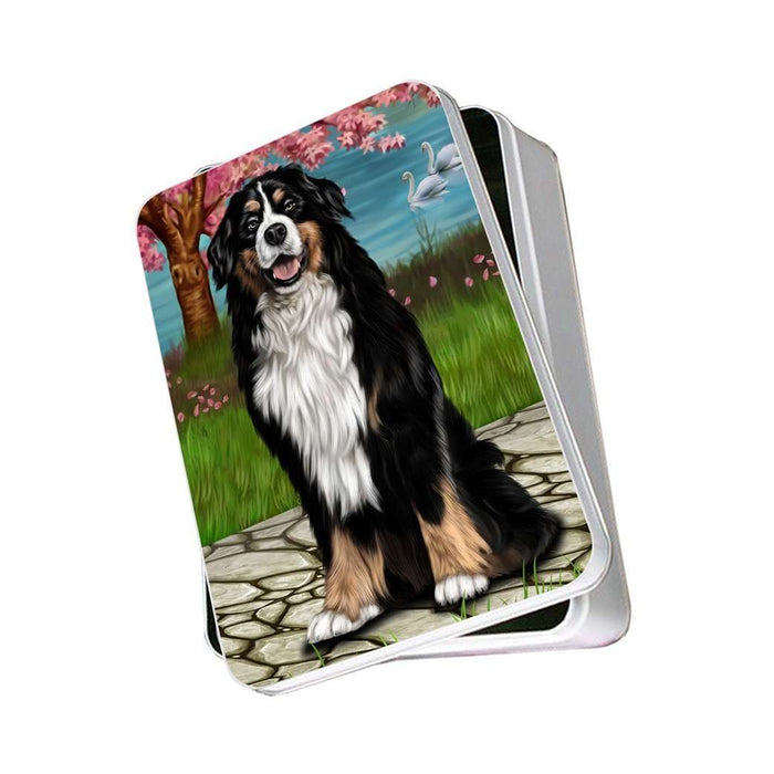 Bernese Mountain Dog Photo Storage Tin