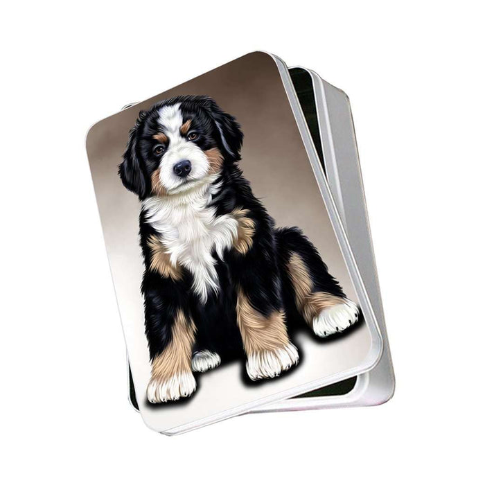 Bernese Mountain Dog Photo Storage Tin