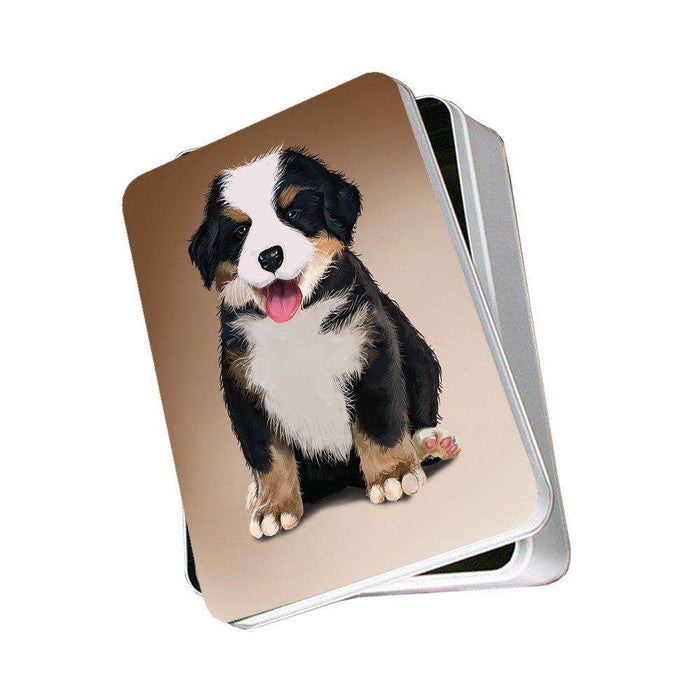 Bernese Mountain Dog Photo Storage Tin
