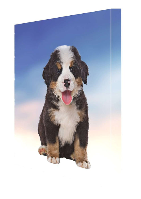Bernese Mountain Puppy Dog Canvas