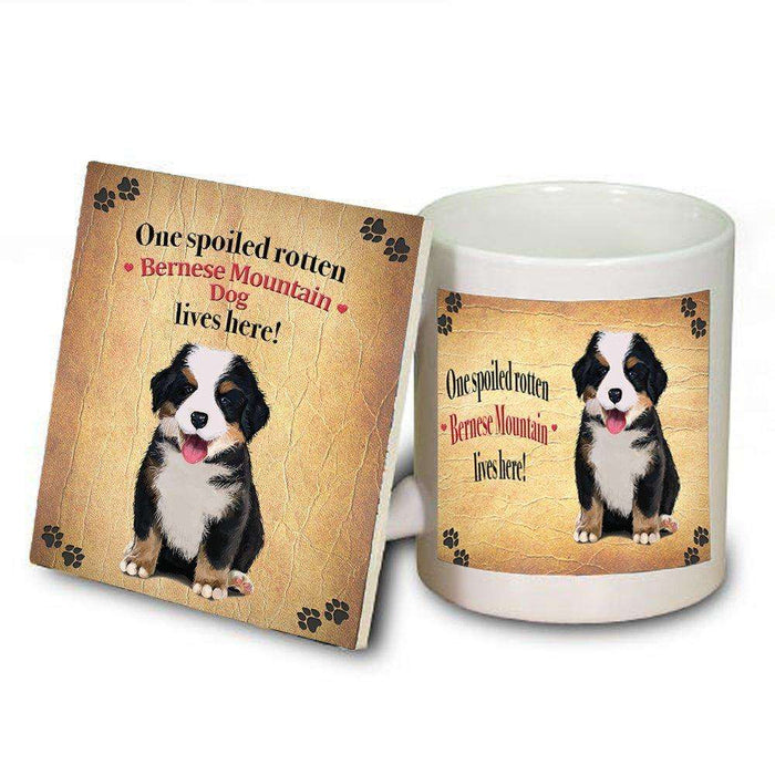 Bernese Mountain Spoiled Rotten Dog Coaster and Mug Combo Gift Set