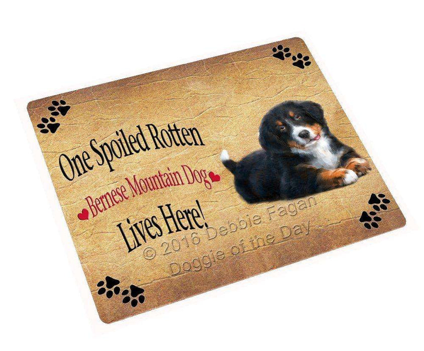 Bernese Mountain Spoiled Rotten Dog Magnet