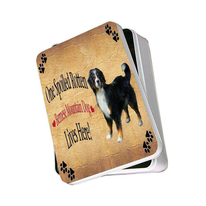 Bernese Mountain Spoiled Rotten Dog Photo Storage Tin