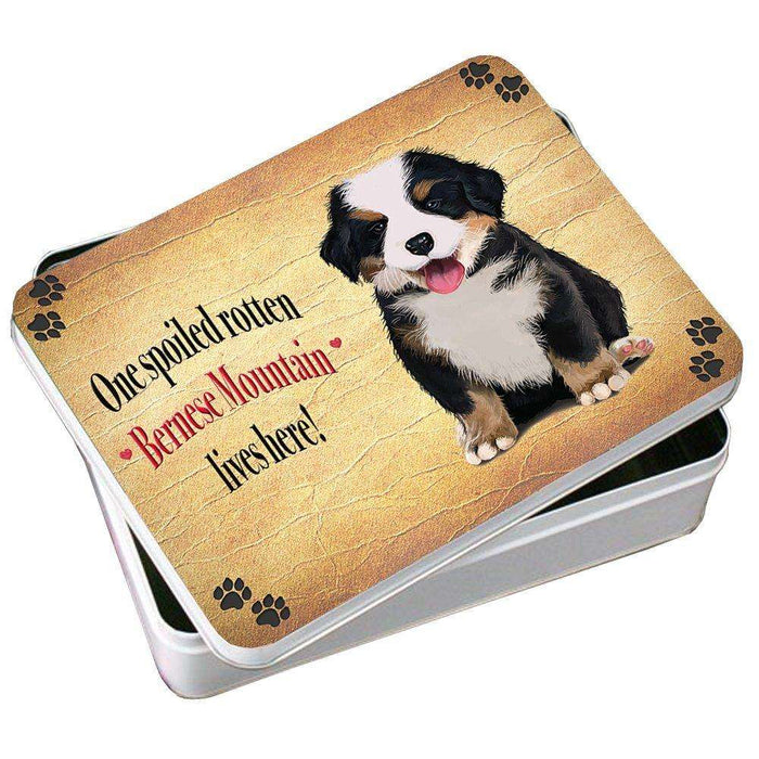 Bernese Mountain Spoiled Rotten Dog Photo Storage Tin