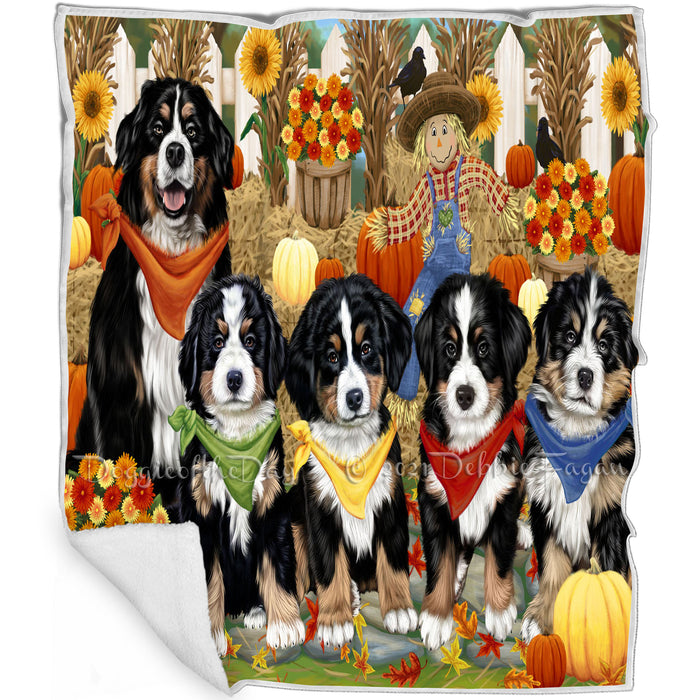 Fall Festive Gathering Bernese Mountain Dogs with Pumpkins Blanket BLNKT71697