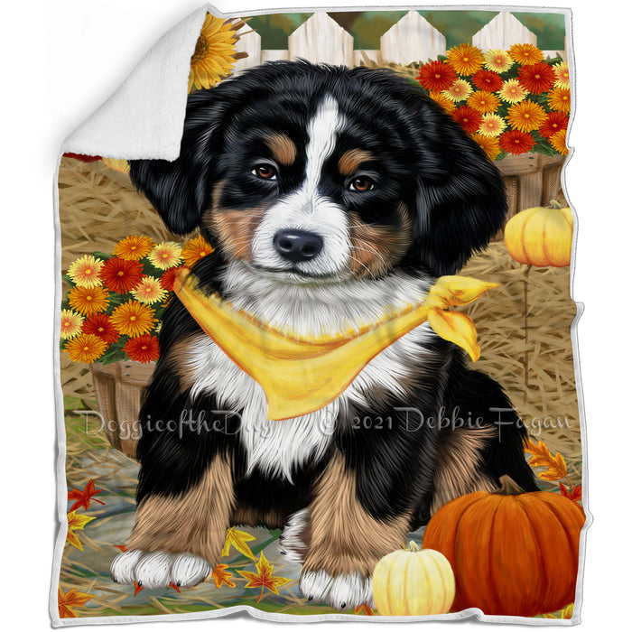 Fall Autumn Greeting Bernese Mountain Dog with Pumpkins Blanket BLNKT72255