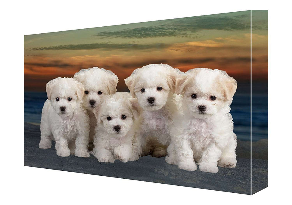 Bichon Frise Canvas 18 x 24