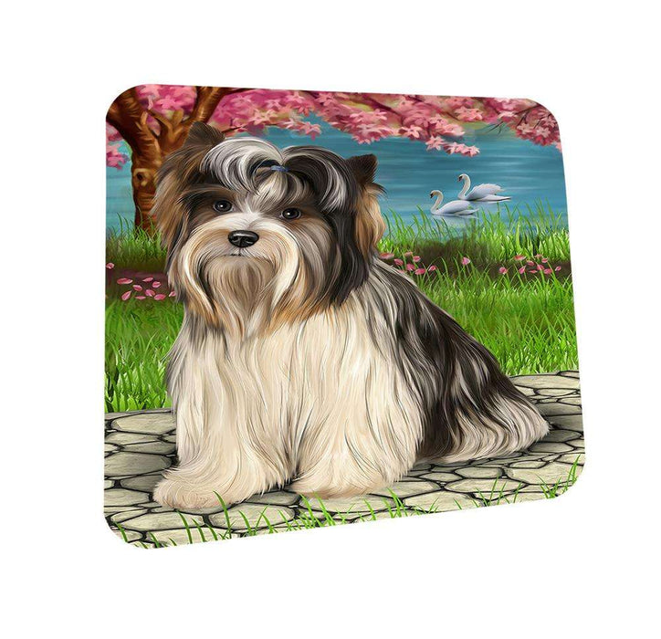 Biewer Terrier Dog Coasters Set of 4 CST51695