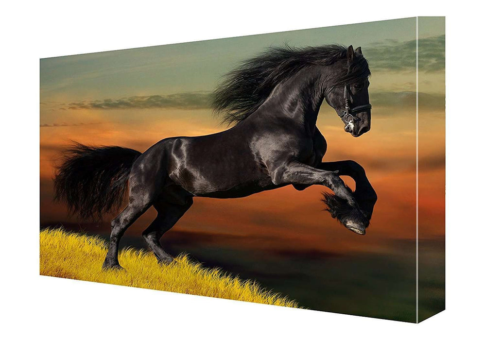 Black Beauty Horse with Scenic Background Canvas 11 x 14