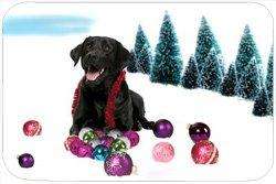 Black Labrador Retriever Tempered Cutting Board Christmas
