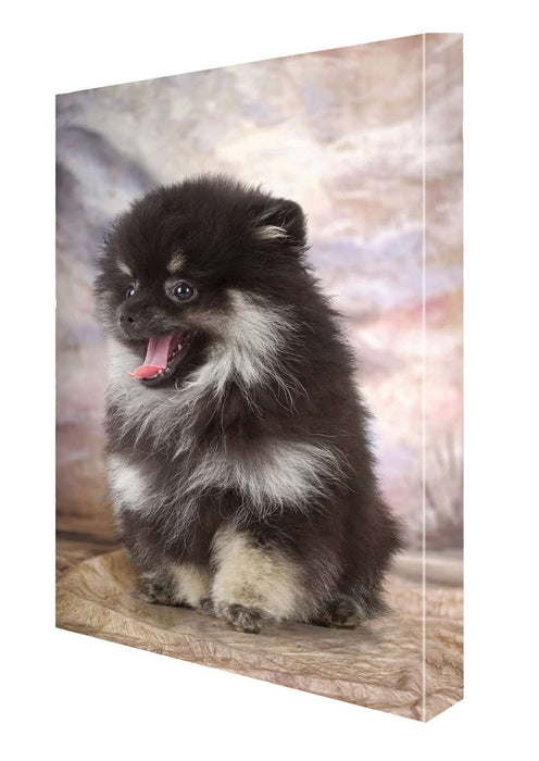 Black Pomeranian Dog Canvas 18 x 24