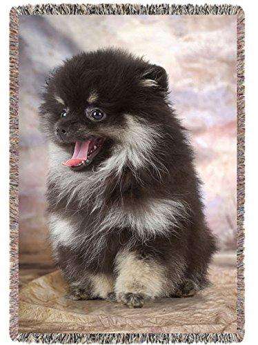 Black Pomeranian Dog Woven Throw Blanket 54 x 38