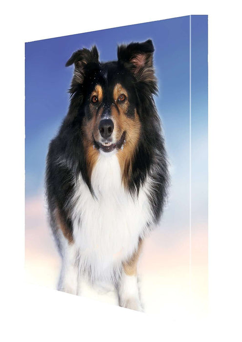 Black Tri Australian Shepherd Dog Canvas